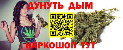 шишки Камышлов