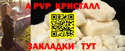 шишки Камышлов